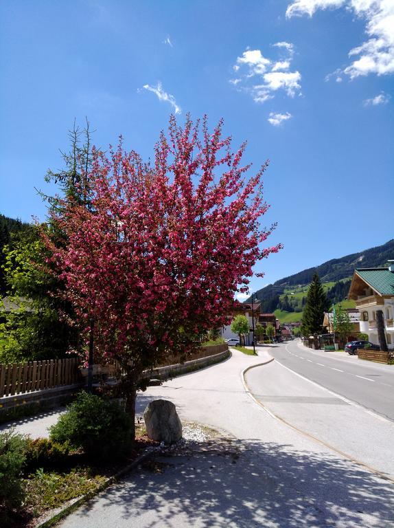 Gaestehaus Die Geislerin Gerlos Luaran gambar